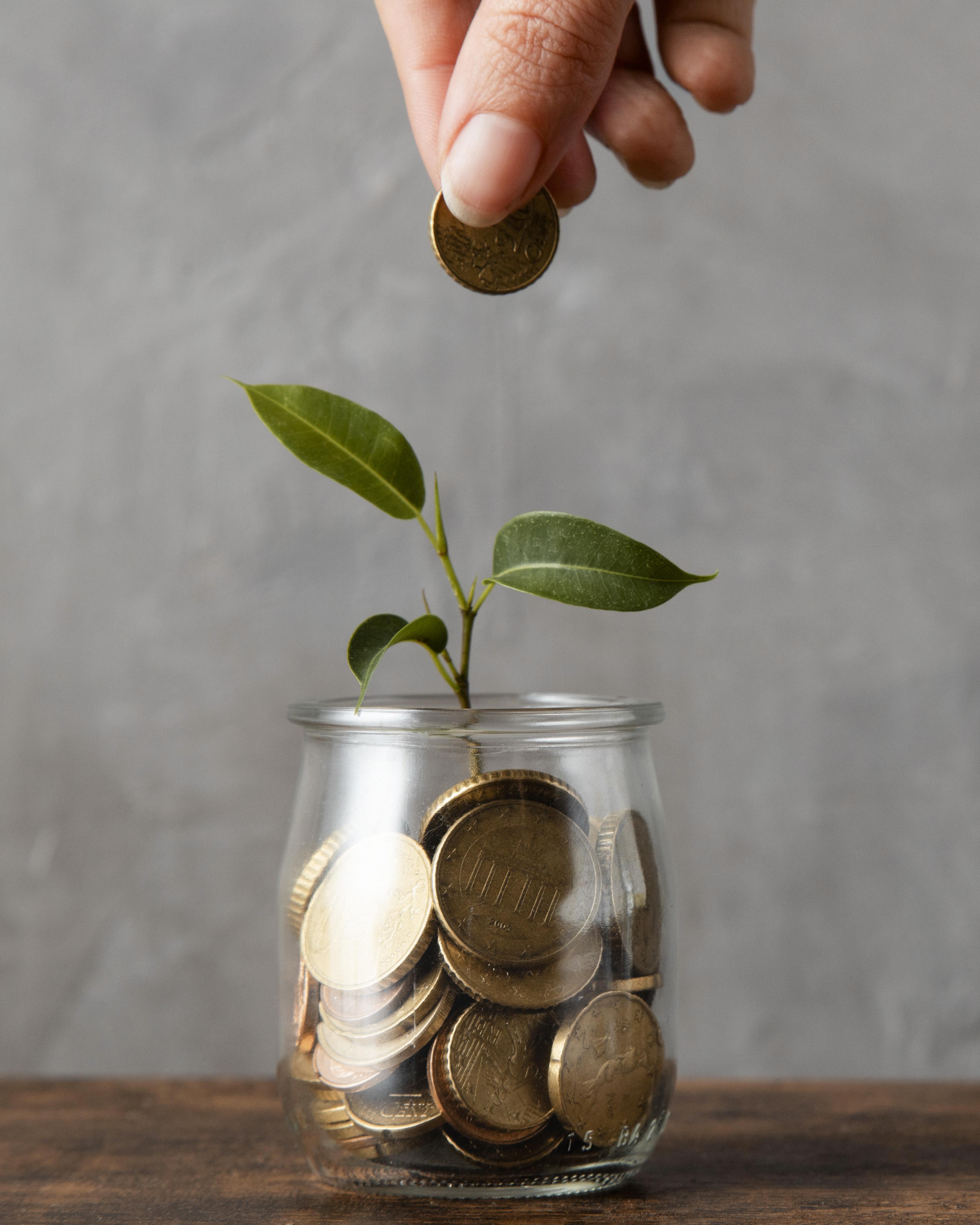 Entrepreneurship Development